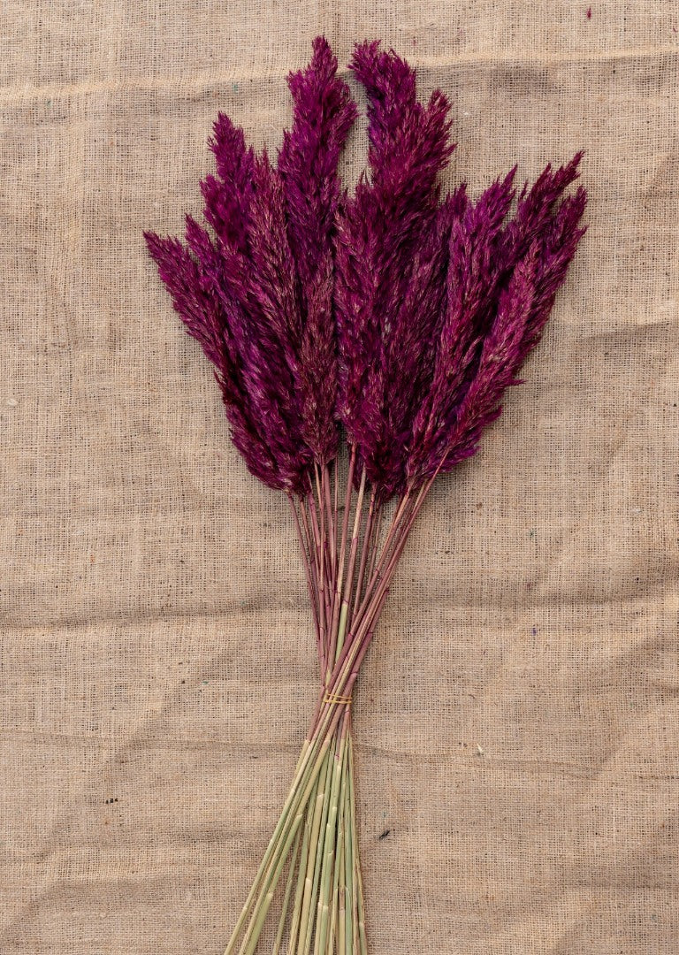 15 ADET PAMPAS Bordo