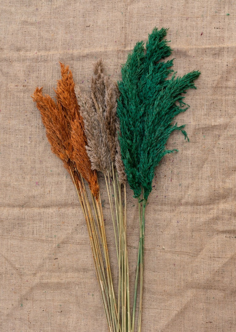 15 Adet Pampas Karışık Renkli