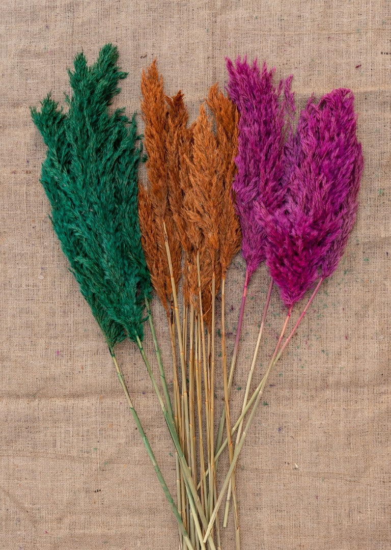 15 Adet Pampas Karışık Renkli