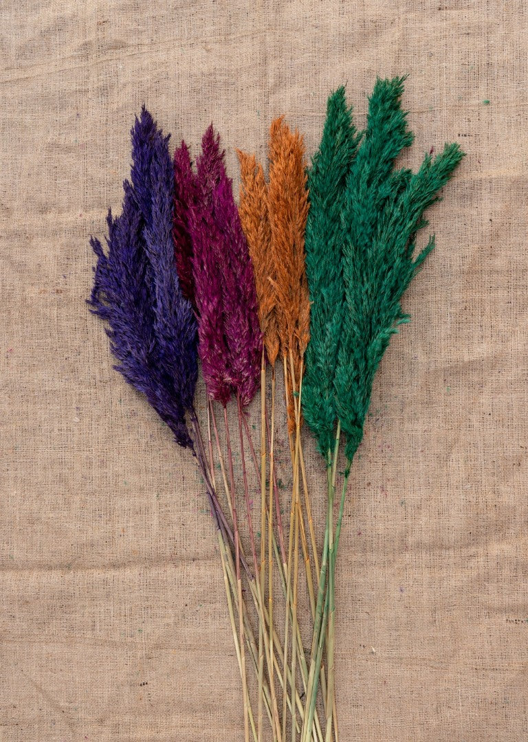 15 Adet Pampas Karışık Renkli
