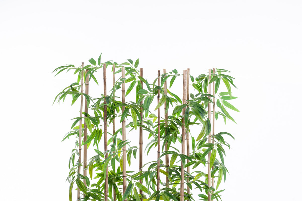 Bambu Seperatör 150 cm