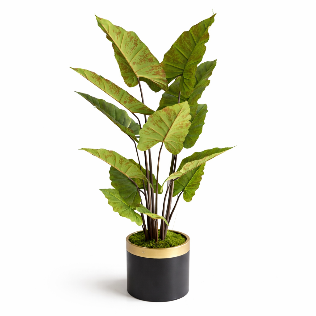 Yapay Alocasia Ağacı 165 cm